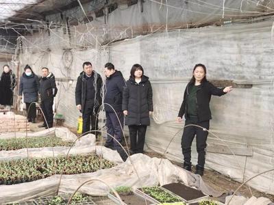 巾幗聚力促振興 敦化市婦聯攜手市檔案館深入長青村調研果蔬種植產業