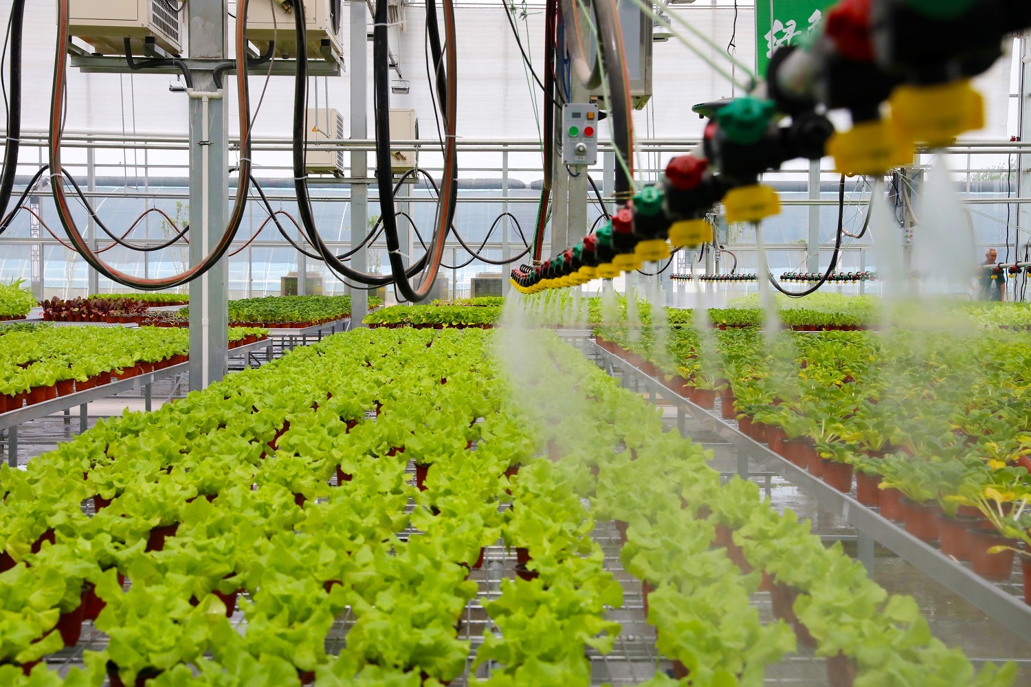 第八屆京津冀蔬菜產(chǎn)業(yè)發(fā)展大會(huì) 2000余種農(nóng)產(chǎn)品與創(chuàng)新成果集中展示，盒馬等知名企業(yè)齊聚覓商機(jī)