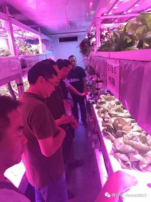 智慧農(nóng)業(yè)新篇章 宿遷市領(lǐng)導(dǎo)參觀(guān)旭田植物工廠(chǎng)，共話(huà)苗木種植現(xiàn)代化未來(lái)