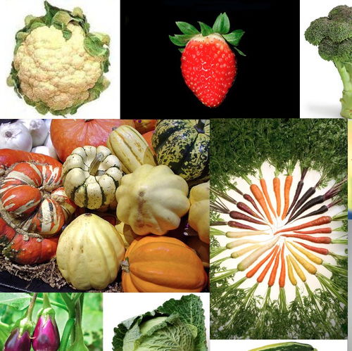 被科學證實的守護者 10種果蔬及其苗木種植對降低乳腺癌風險的意義